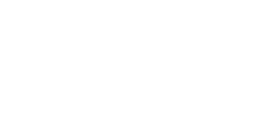TriSec Consulting